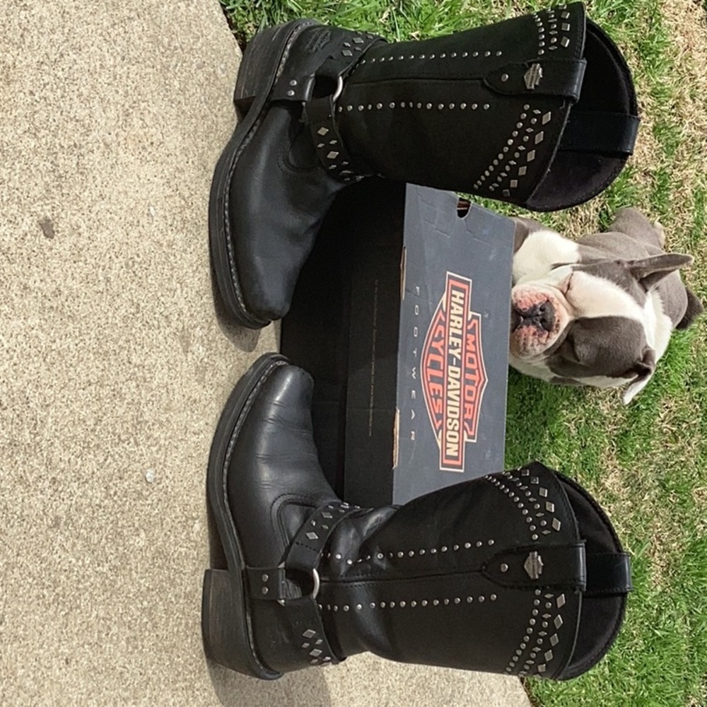Harley Davidsons - Picture 5 of 6